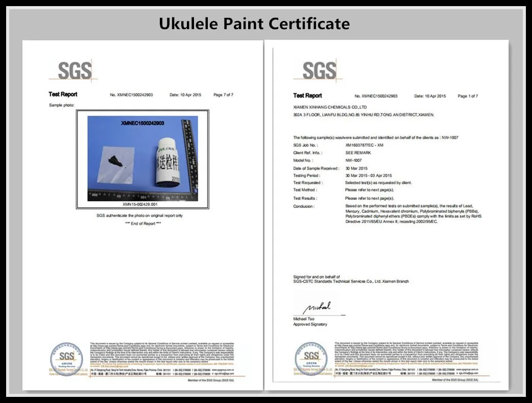 Ukulele paint certificate 2