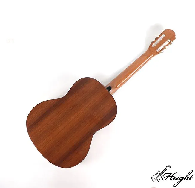 musical instrument 